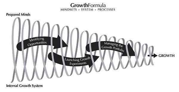 Growth Formula