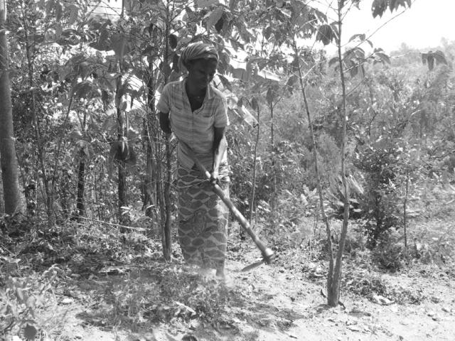 Lake Kivu Coffee Alliance: A P3 Partnership