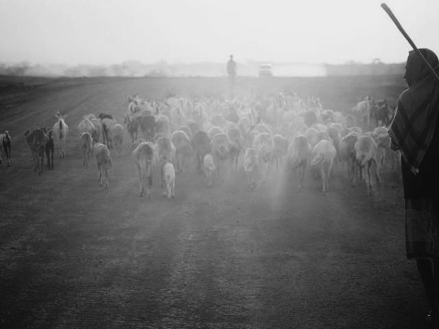Satellite Assisted Pastoral Resource Management: A Public-Private Partnership