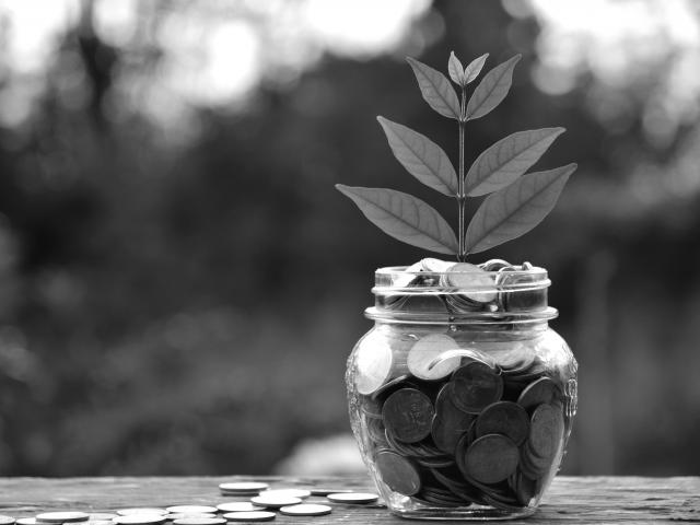 Responsible Investing 