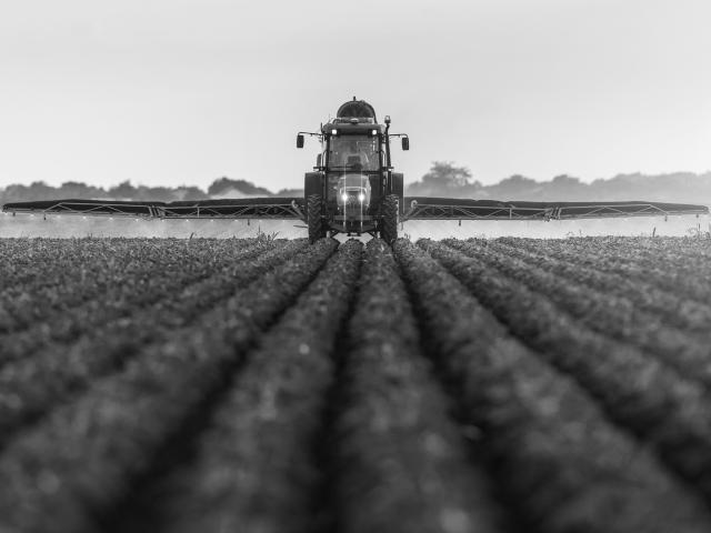 agriculture