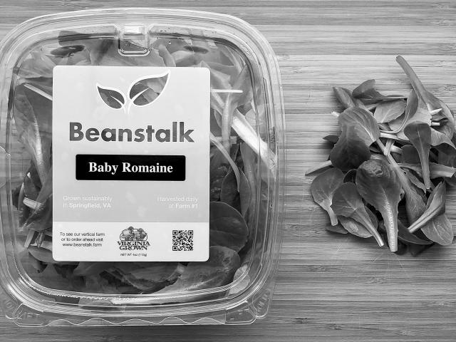 beanstalk 