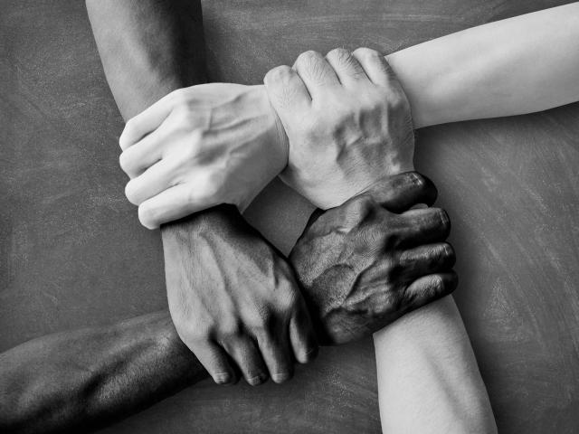 Diversity and Inclusion 