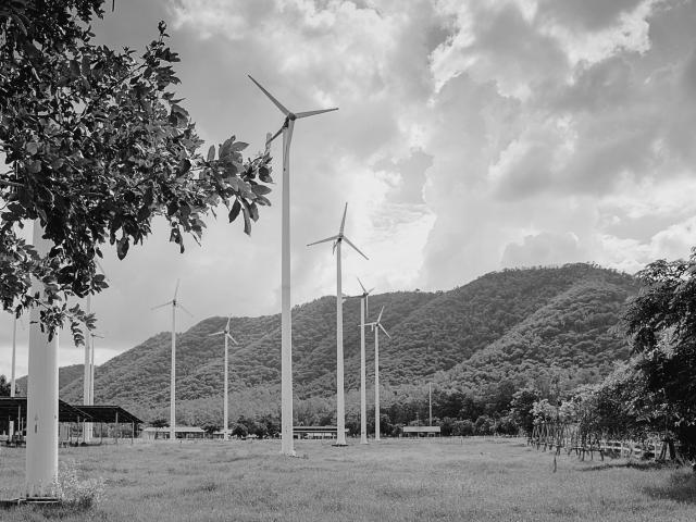 fight climate change 