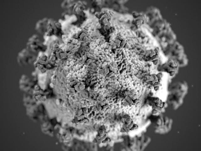 coronavirus 