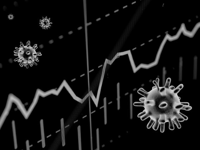Institutional Investors When Disaster Strikes 