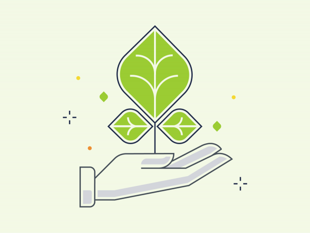 decarbonization