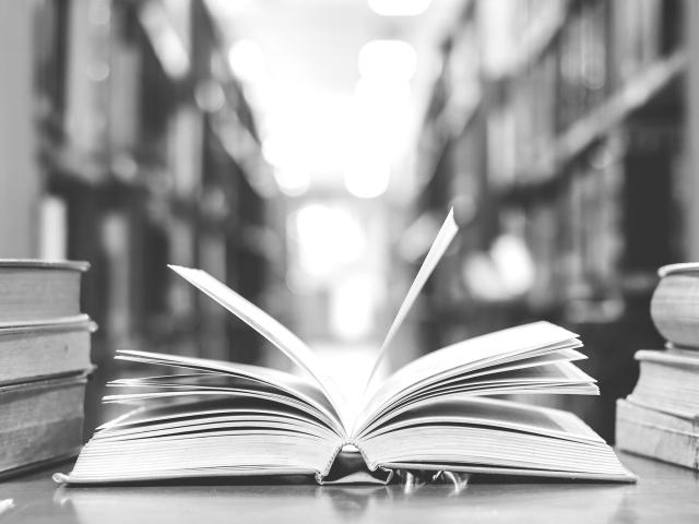 Storytelling in Business